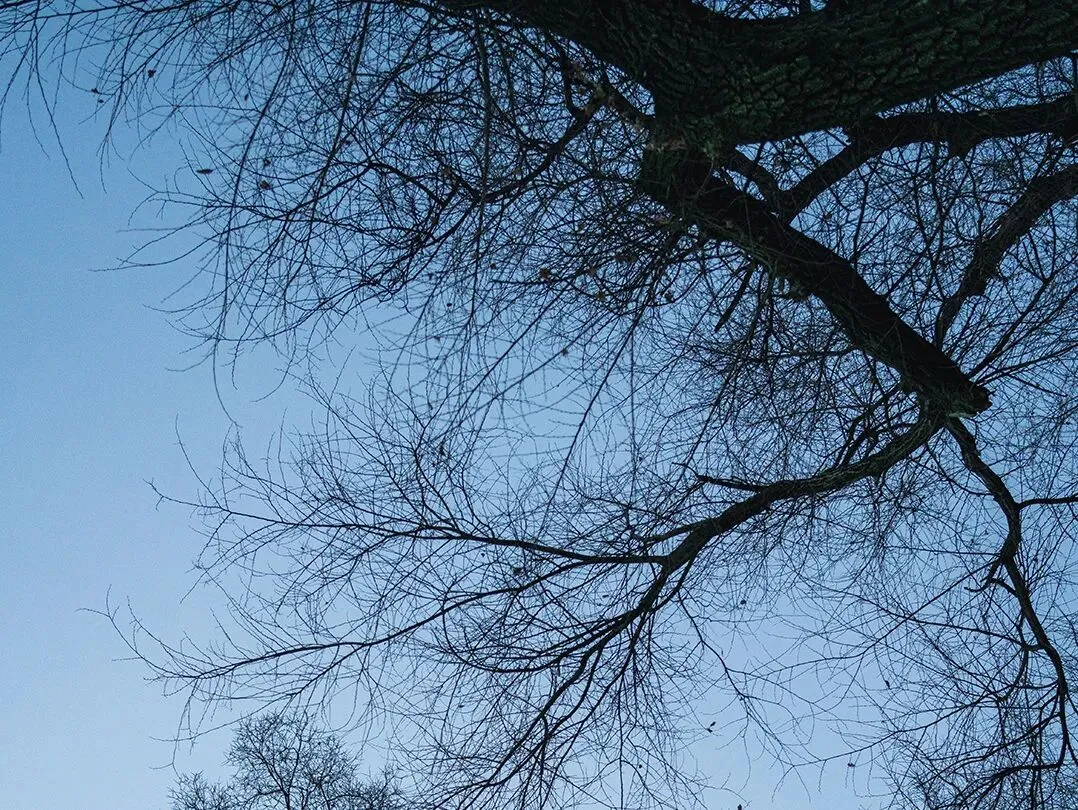 云南大学真题解析 | 跨文化共情名词解释(2026) 第1张