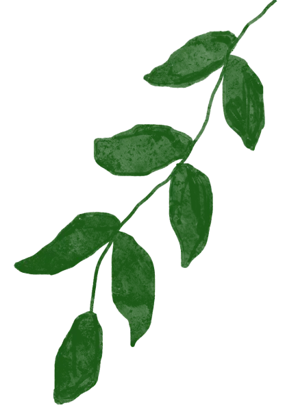 2026北京中考海淀一模真题+标答+压轴解析 第28张