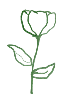 2026北京中考海淀一模真题+标答+压轴解析 第29张