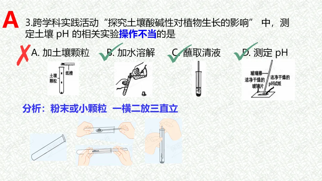 2026年盐城市亭湖区一模试卷解析 第3张