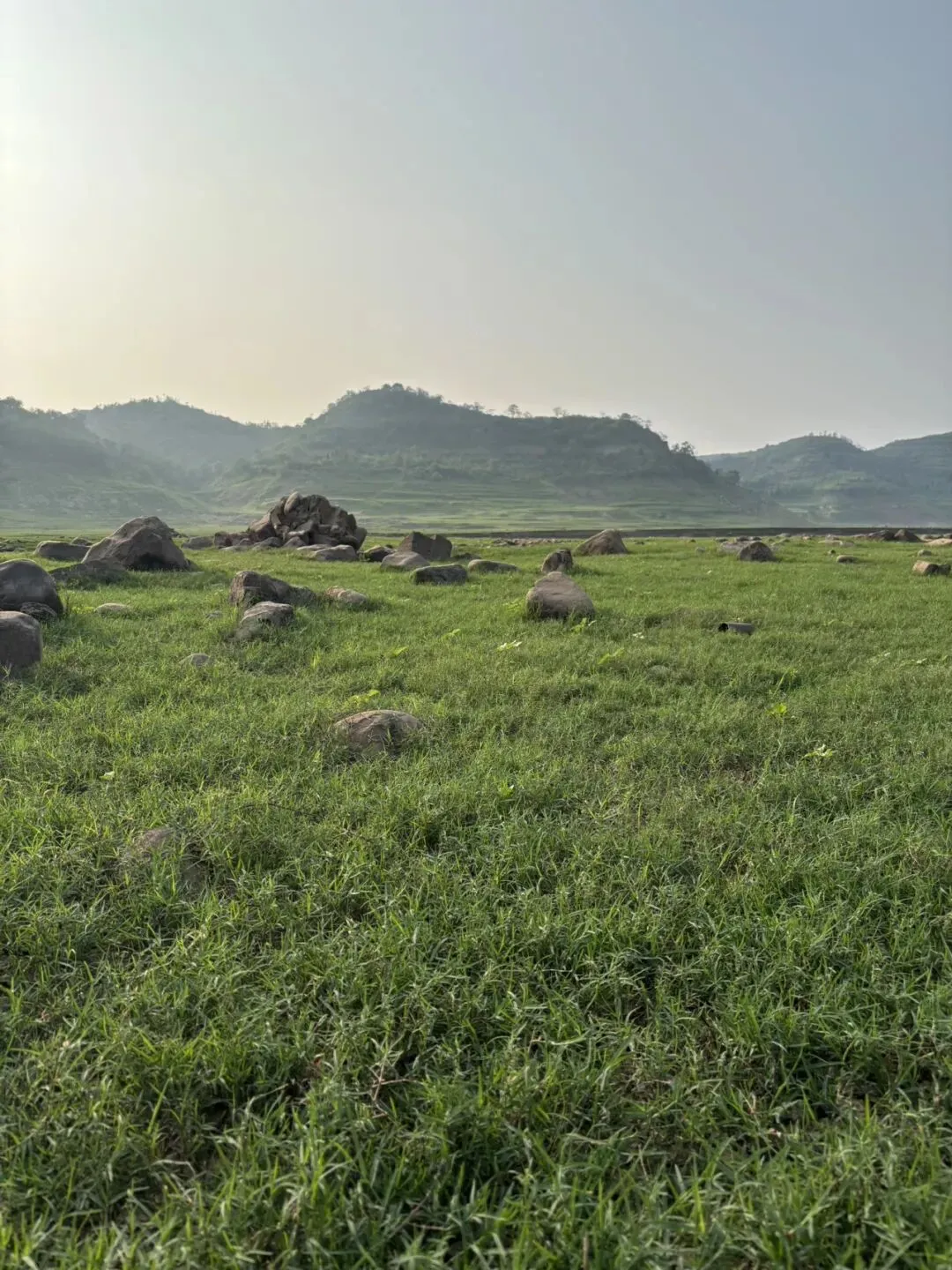 【精校版】【语文试卷+参考答案】河南省2026届普通高中毕业班高考适应性测试 第2张