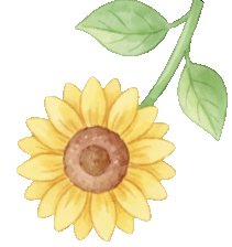 中考饮食攻略 | 柳州市工人医院内分泌营养代谢中心助你吃出好状态 第2张