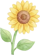 中考饮食攻略 | 柳州市工人医院内分泌营养代谢中心助你吃出好状态 第8张