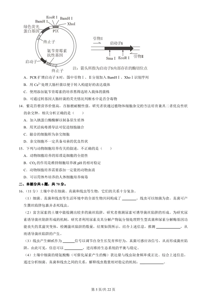2024北京海淀高三上册期末生物试卷(有答案)【可下载】 第5张
