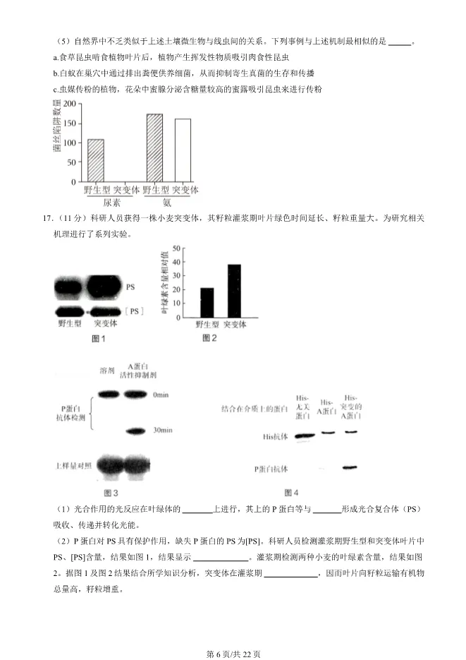 2024北京海淀高三上册期末生物试卷(有答案)【可下载】 第6张