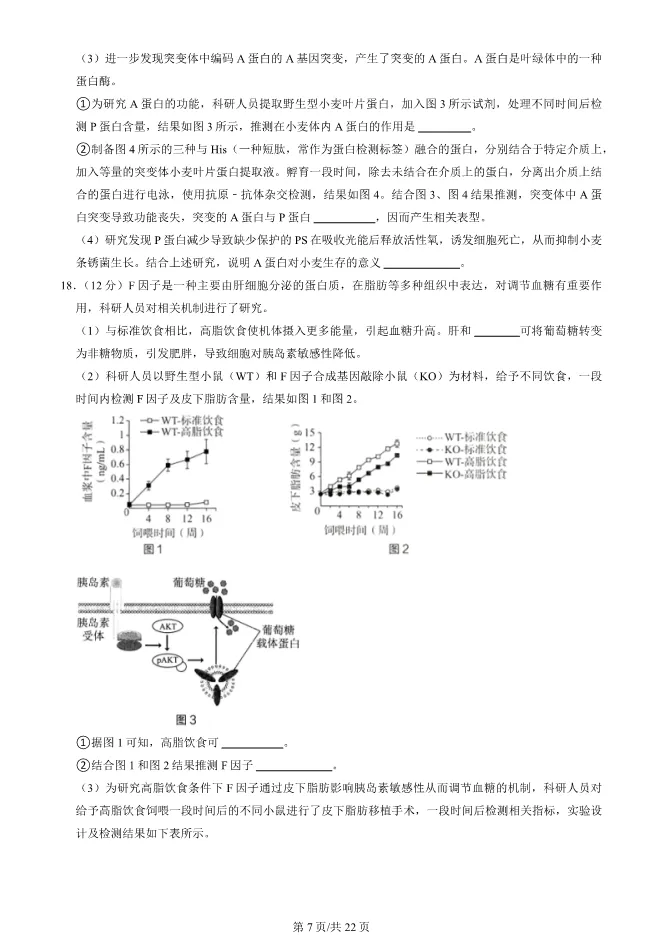 2024北京海淀高三上册期末生物试卷(有答案)【可下载】 第7张