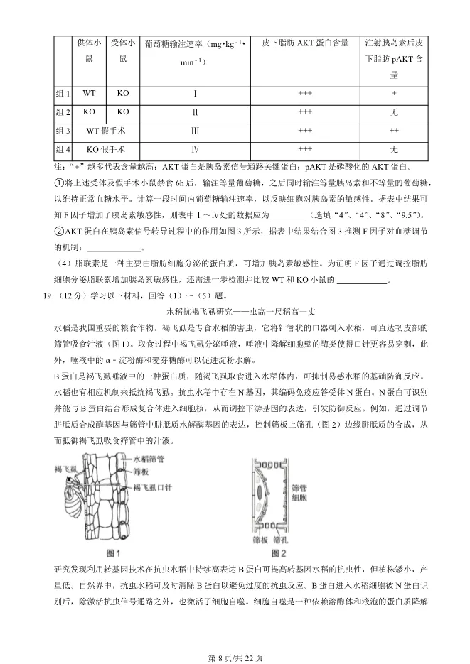 2024北京海淀高三上册期末生物试卷(有答案)【可下载】 第8张