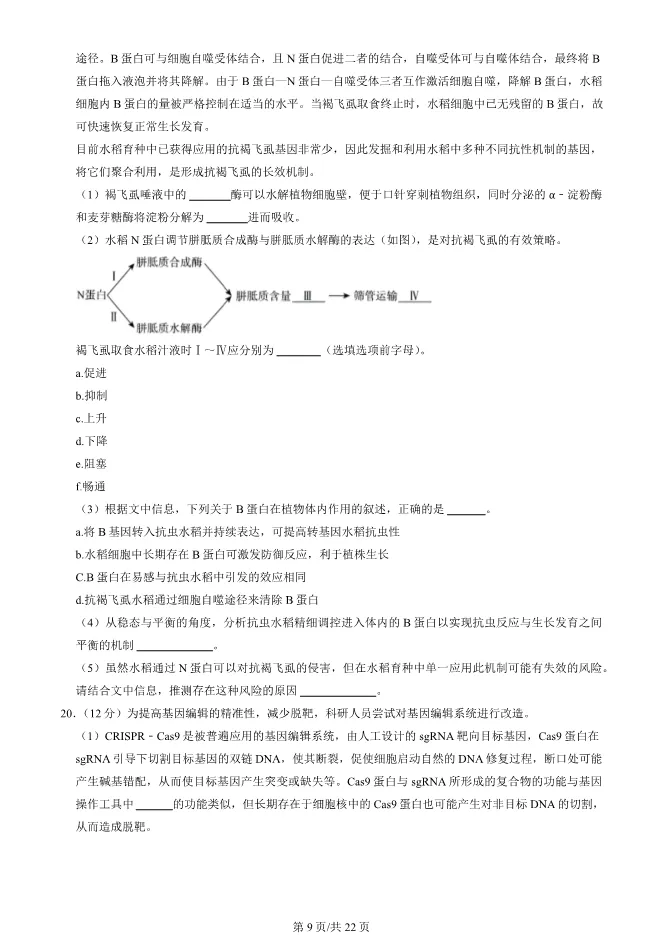 2024北京海淀高三上册期末生物试卷(有答案)【可下载】 第9张