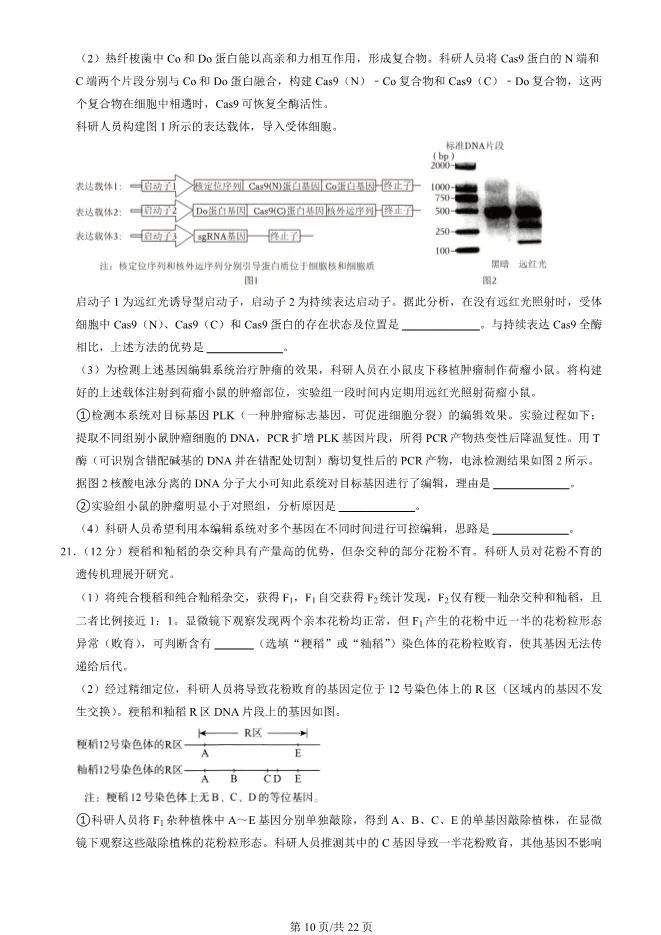 2024北京海淀高三上册期末生物试卷(有答案)【可下载】 第10张