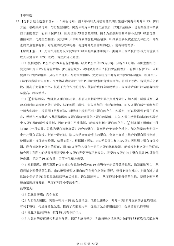 2024北京海淀高三上册期末生物试卷(有答案)【可下载】 第18张