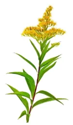 2026年河南中考第二次模拟考试生物试卷 第9张