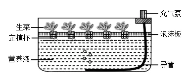 2026年河南中考第二次模拟考试生物试卷 第11张
