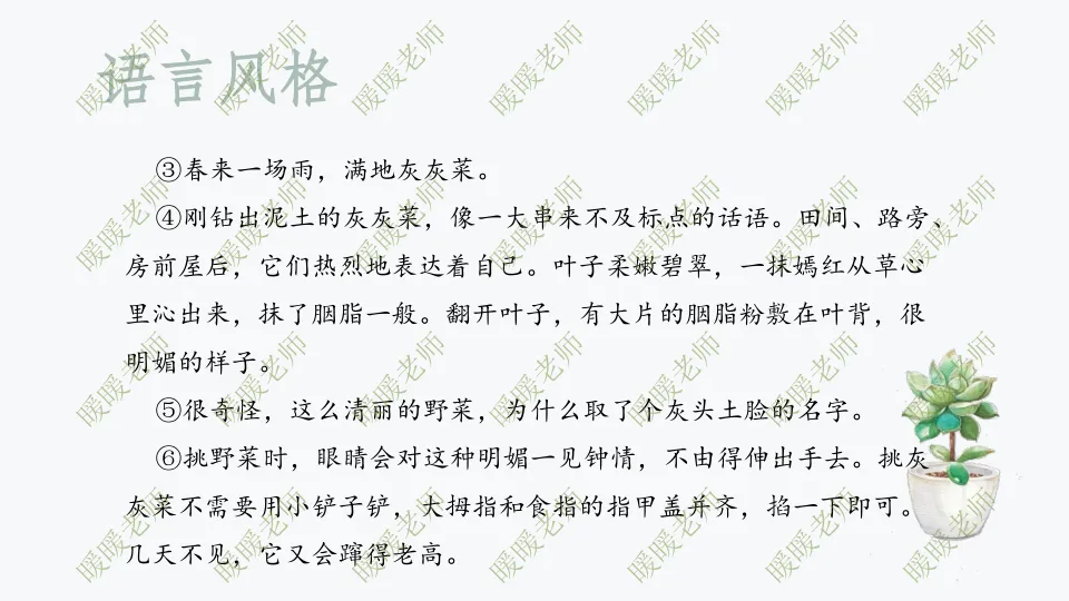 中考复习——记叙文题型与技巧-赏析类(语言风格) 课件42页 第12张