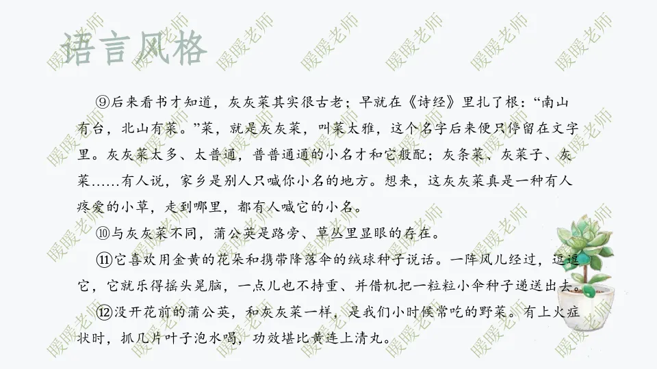 中考复习——记叙文题型与技巧-赏析类(语言风格) 课件42页 第14张