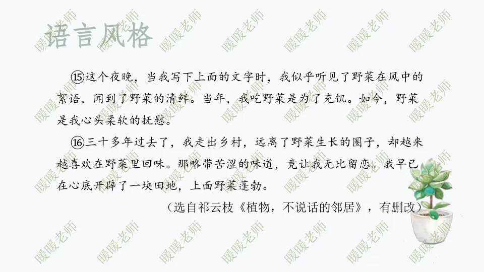 中考复习——记叙文题型与技巧-赏析类(语言风格) 课件42页 第16张