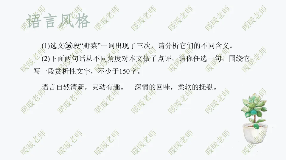 中考复习——记叙文题型与技巧-赏析类(语言风格) 课件42页 第17张