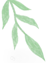 精准视导备中考 送培送教助成长——南平市教科院赴建阳三中开展送培送教暨毕业班教学视导活动 第9张