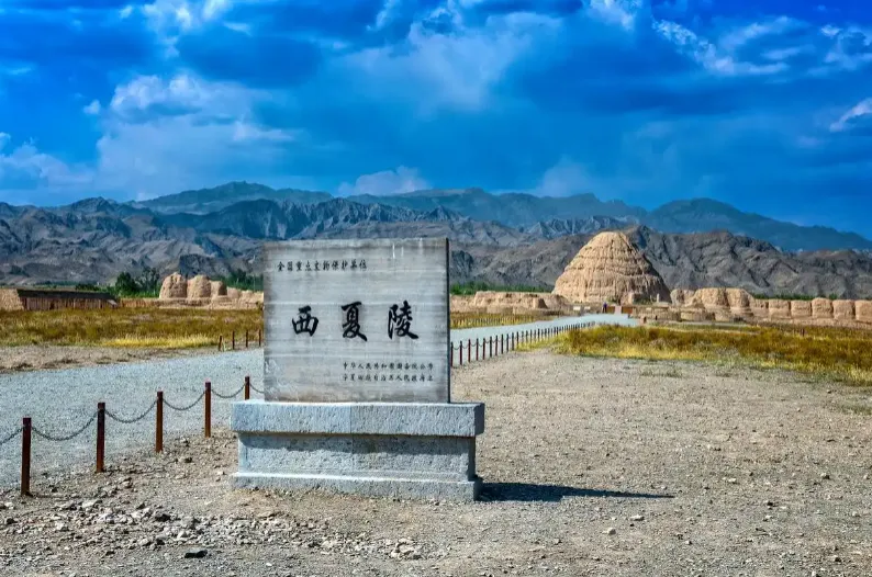 2026年中考道法选择题强化题库100题13 第5张