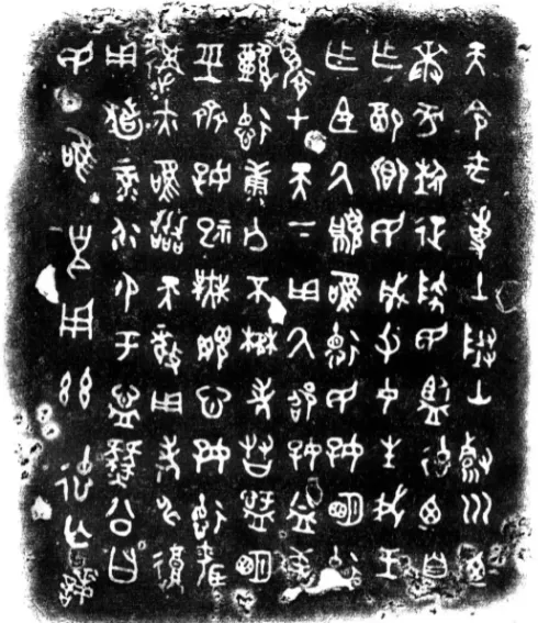 2026年中考道法主观题强化题库60题8 第12张