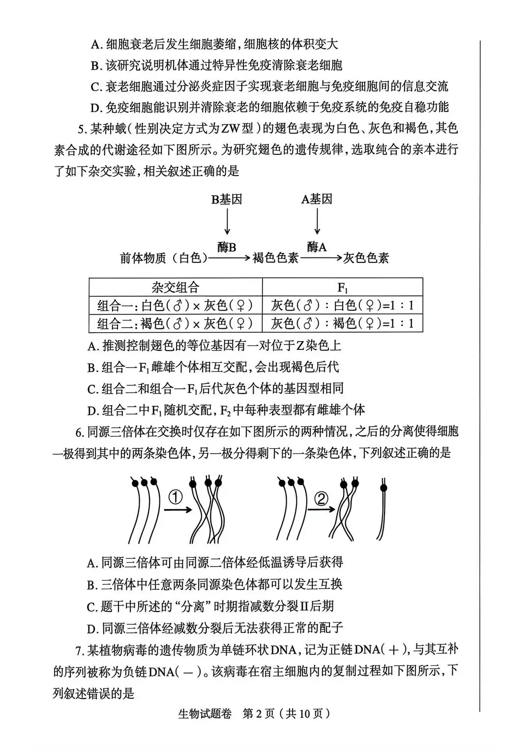 2026郑州高三二模全科试卷+解析(含英语听力)! 第90张