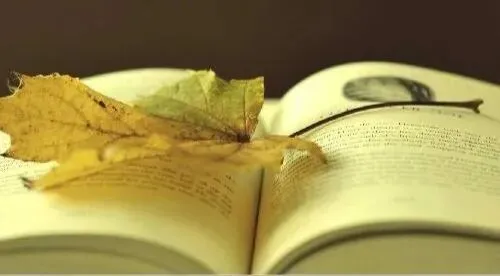 2026新人教版八年级语文下册期中考试模拟试卷 第1张