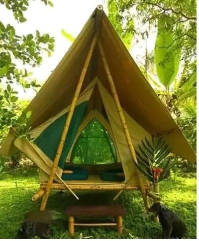 2026最新中考模拟地理试卷2—2 第6张