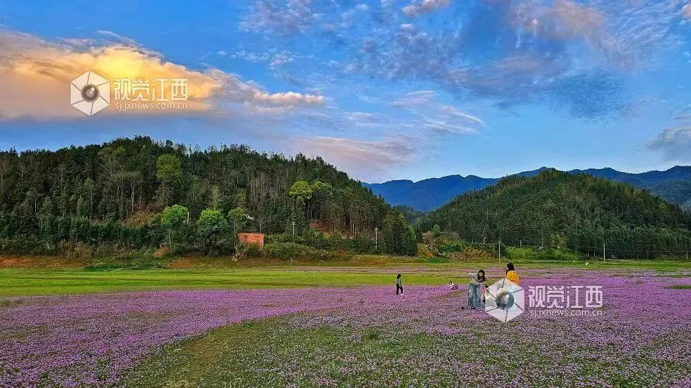 江西宜春市2026年高三4月模拟考试语文试题 第1张