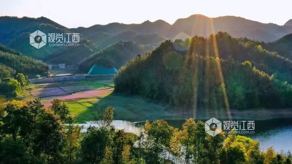 江西宜春市2026年高三4月模拟考试语文试题 第5张