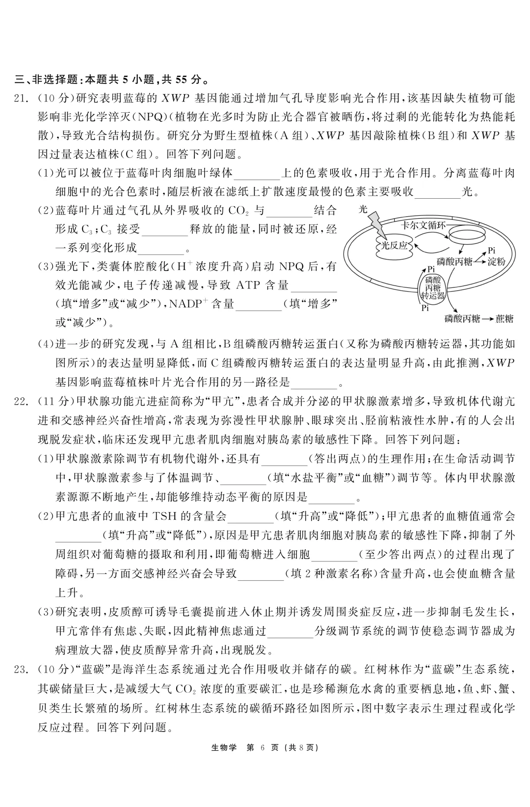 黑龙江省齐齐哈尔市2026届高三第二次模拟考试生物学科试题及答案 第9张