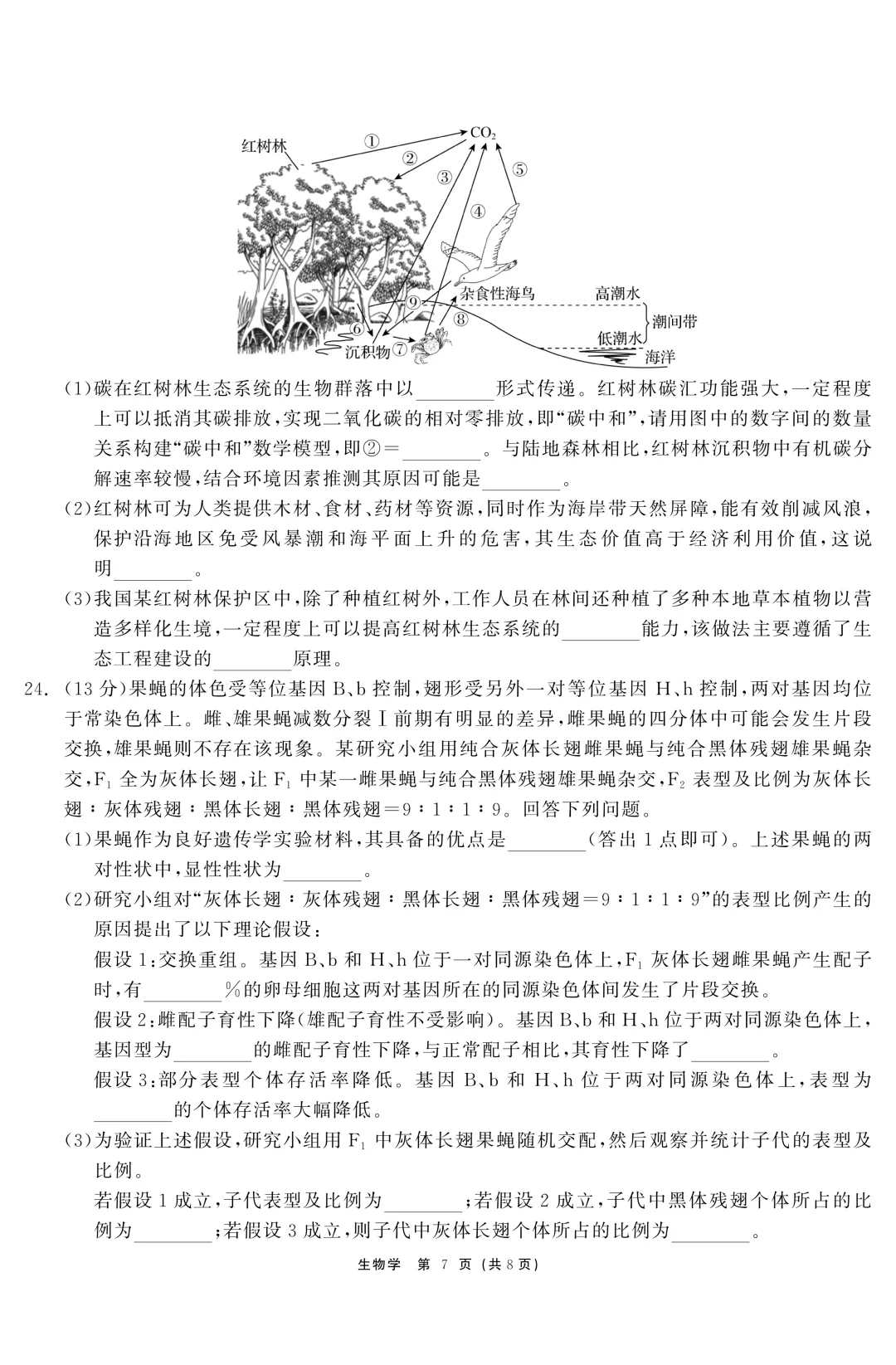 黑龙江省齐齐哈尔市2026届高三第二次模拟考试生物学科试题及答案 第10张
