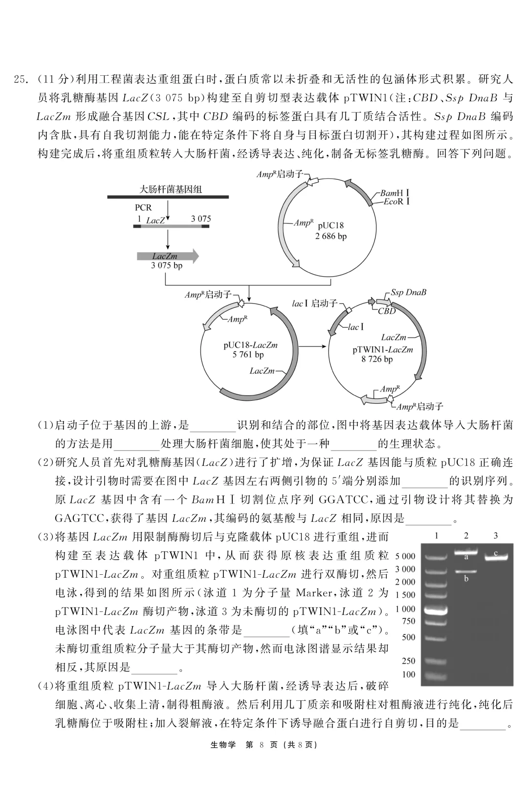 黑龙江省齐齐哈尔市2026届高三第二次模拟考试生物学科试题及答案 第11张