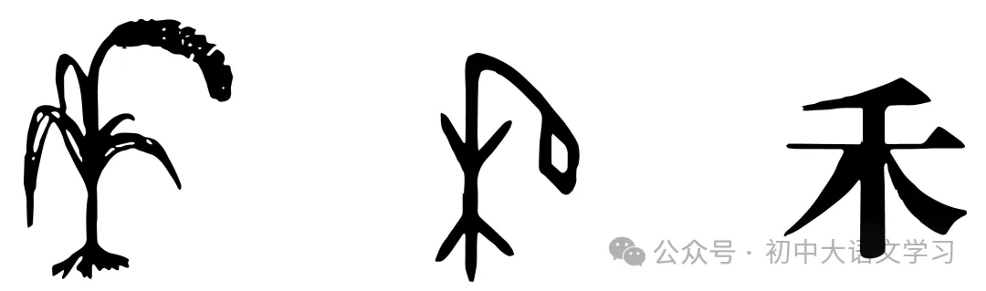 2025年四川省眉山市中考语文试题 第1张