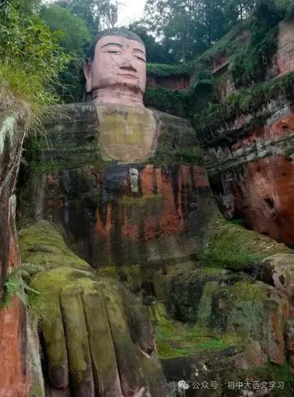 2025年四川省眉山市中考语文试题 第8张