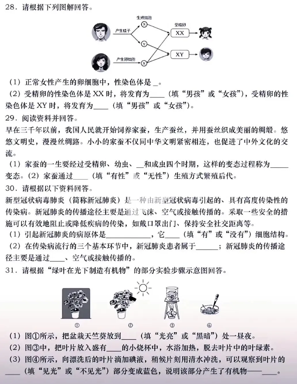 模拟试卷:2026年生物中考模拟卷(四)(各版本通用) 第5张