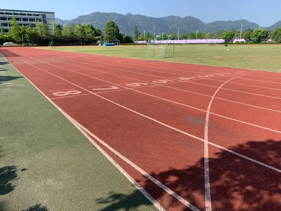 体育中考,为你支招! 第13张