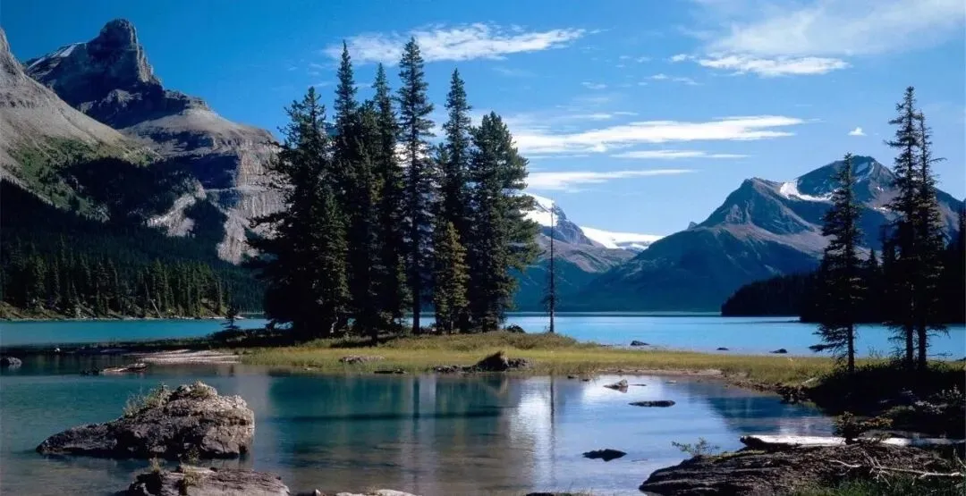 【高考真题】高清2025年高考全国2卷数学真题(含解析) 第5张