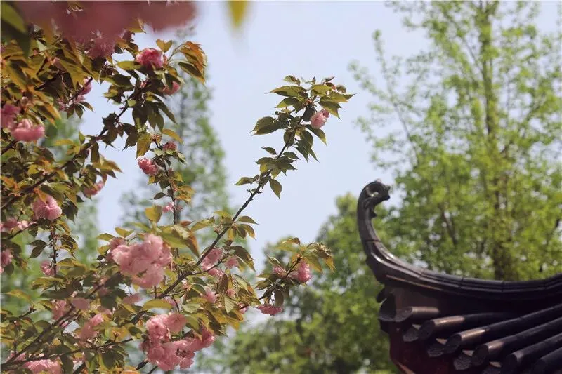 【中考招生资讯】2025明德华兴秋季招生方案 第48张