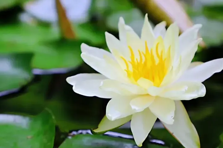 【中考招生资讯】2025明德华兴秋季招生方案 第49张