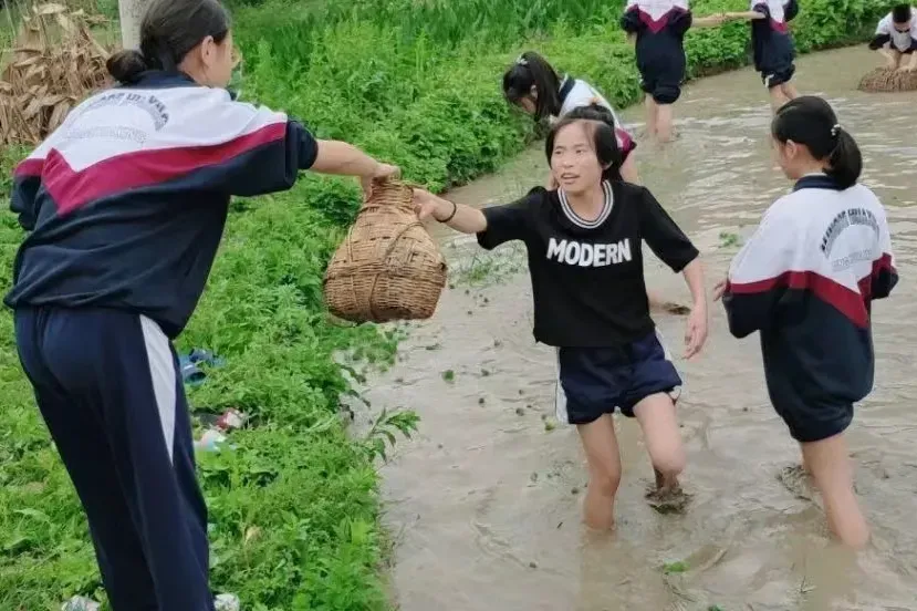 【中考招生资讯】2025明德华兴秋季招生方案 第70张