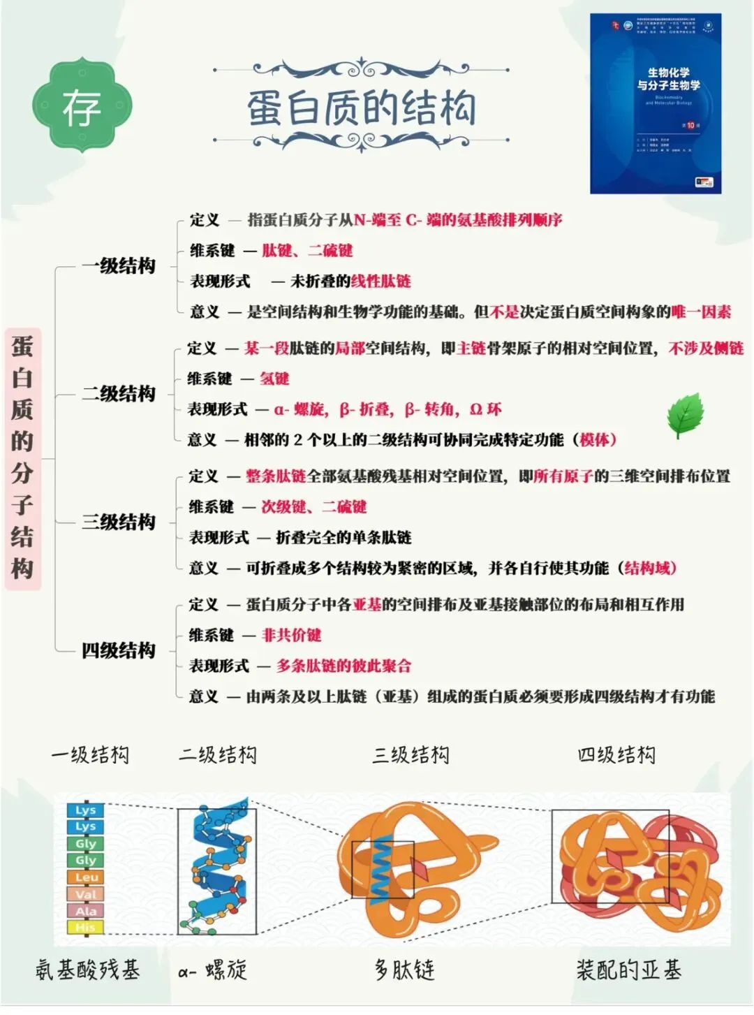 2026医学基础知识真题练习(4月23日) 第2张