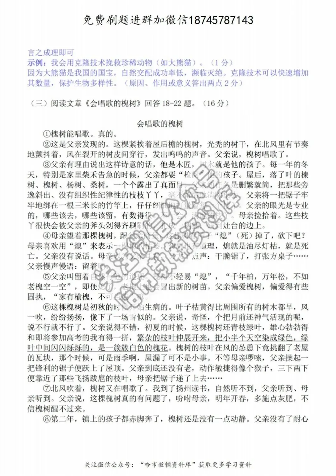 2026哈17中学七年级下语文期中试卷及答案 第13张