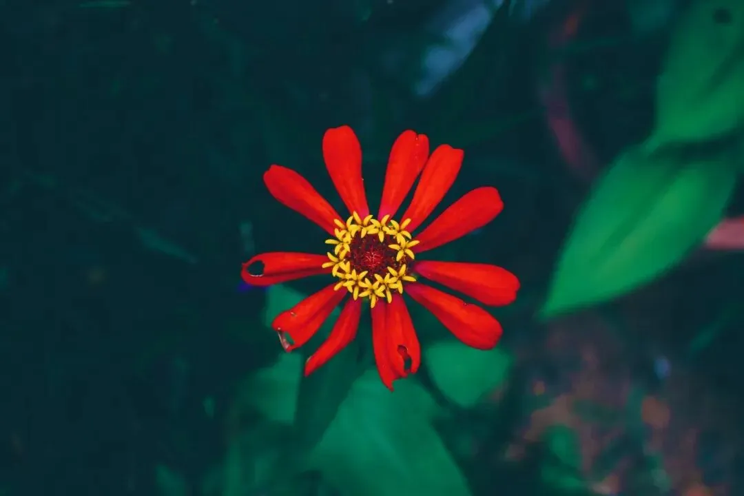 火爆力推:《为什么我的高考试卷总是白纸啊?》欣欣【txt全章节-小説】閲读 第9张