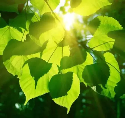 火爆力推:《为什么我的高考试卷总是白纸啊?》欣欣【txt全章节-小説】閲读 第11张