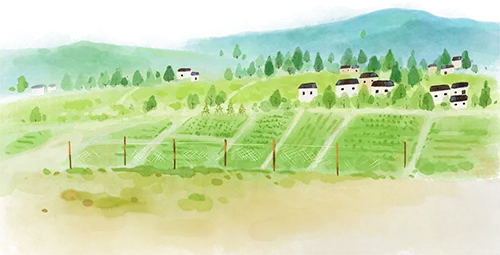 期中考后不内耗,家长做好这4点,带孩子逆风翻盘 第20张