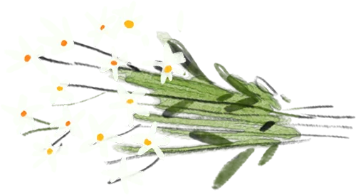 期中考后不内耗,家长做好这4点,带孩子逆风翻盘 第46张