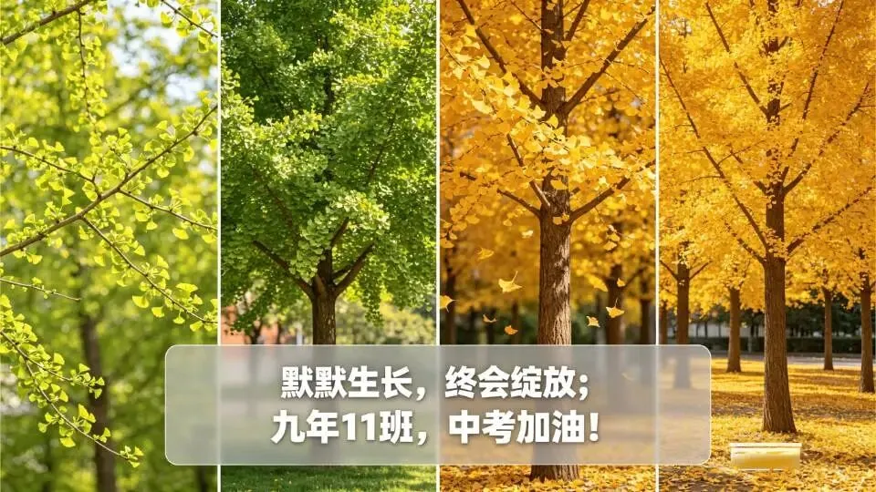 中考心理课|以柔克刚,用自律长成属于自己的参天大树 第7张