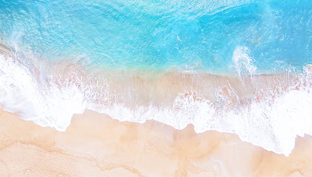 星辉教育 | 决战中考“冲刺大礼包”暖心上线,助你一举夺魁! 第1张