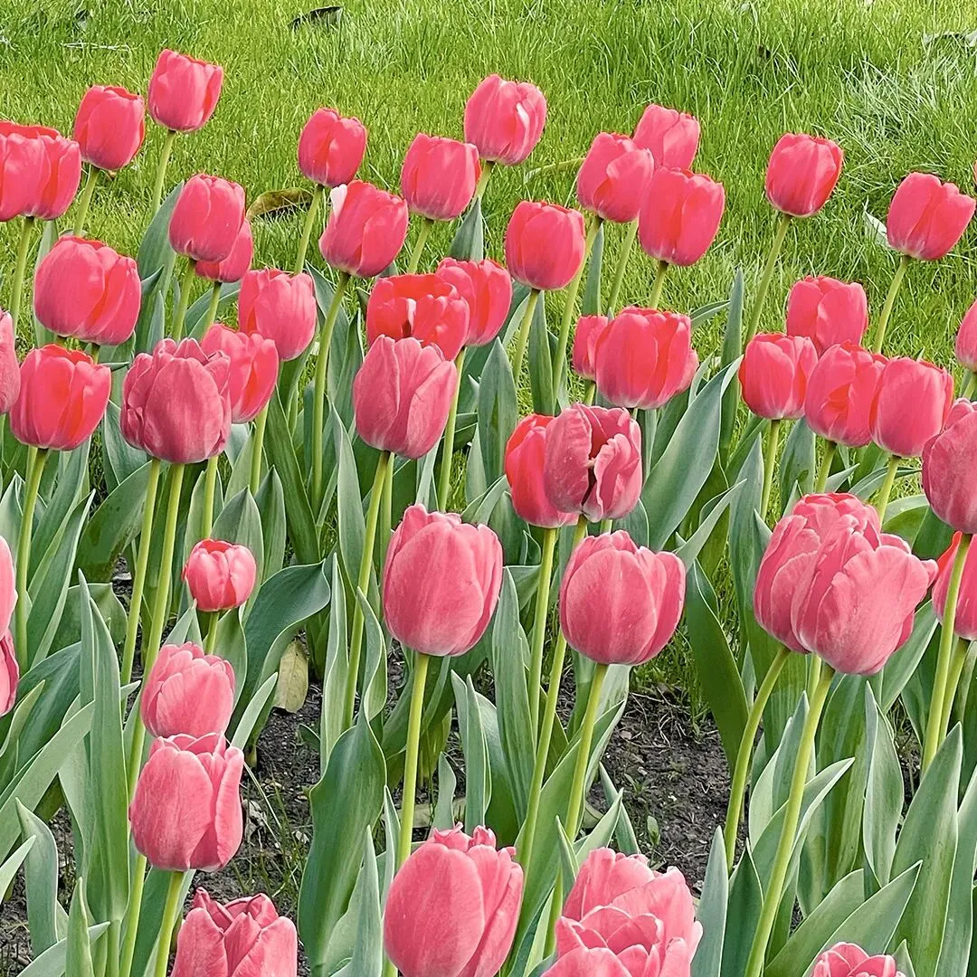 初三同学家长:模考后别光盯着分数,现在做对这件事,比中考后四处择校强百倍! 第20张
