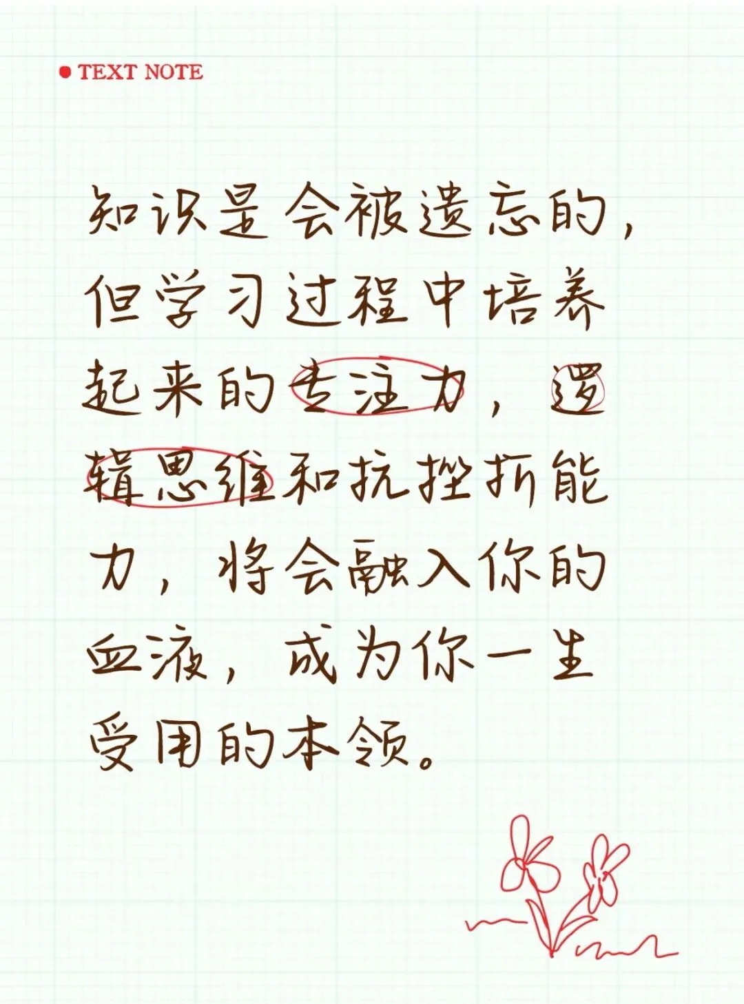 中考一模后,用错题模板快速提分 第9张