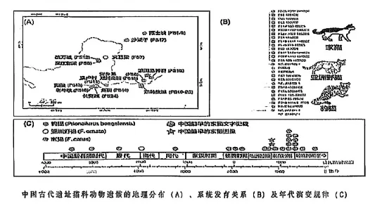 2026年上海市虹口区初三语文二模试卷及答案 第1张